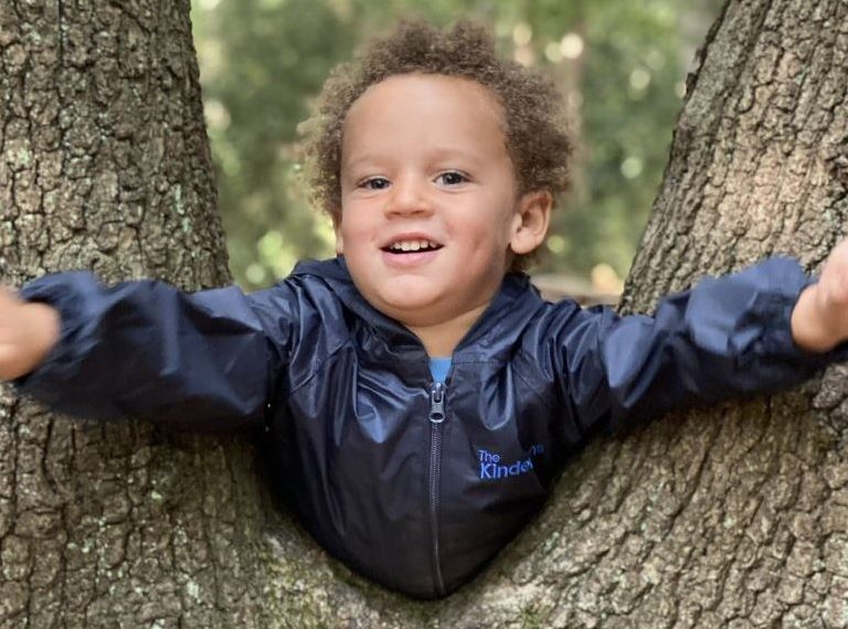 child poking through the tree