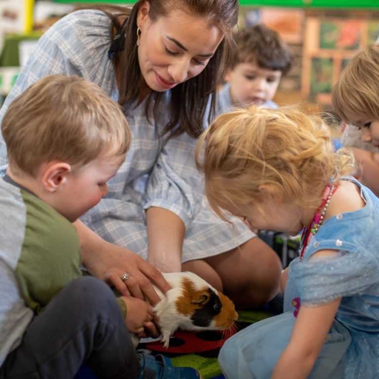 children meet a guinea pig